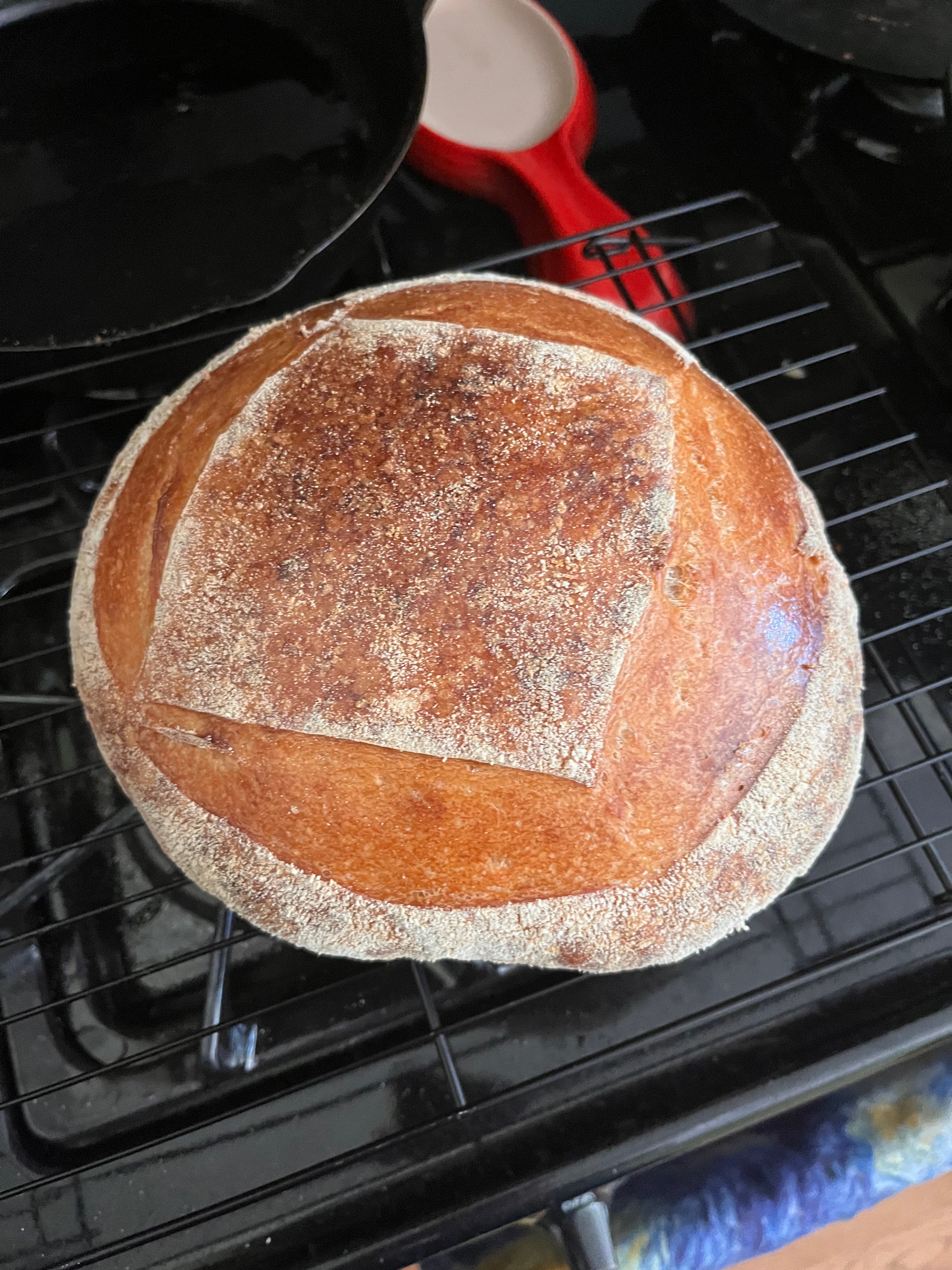An early sourdough loaf