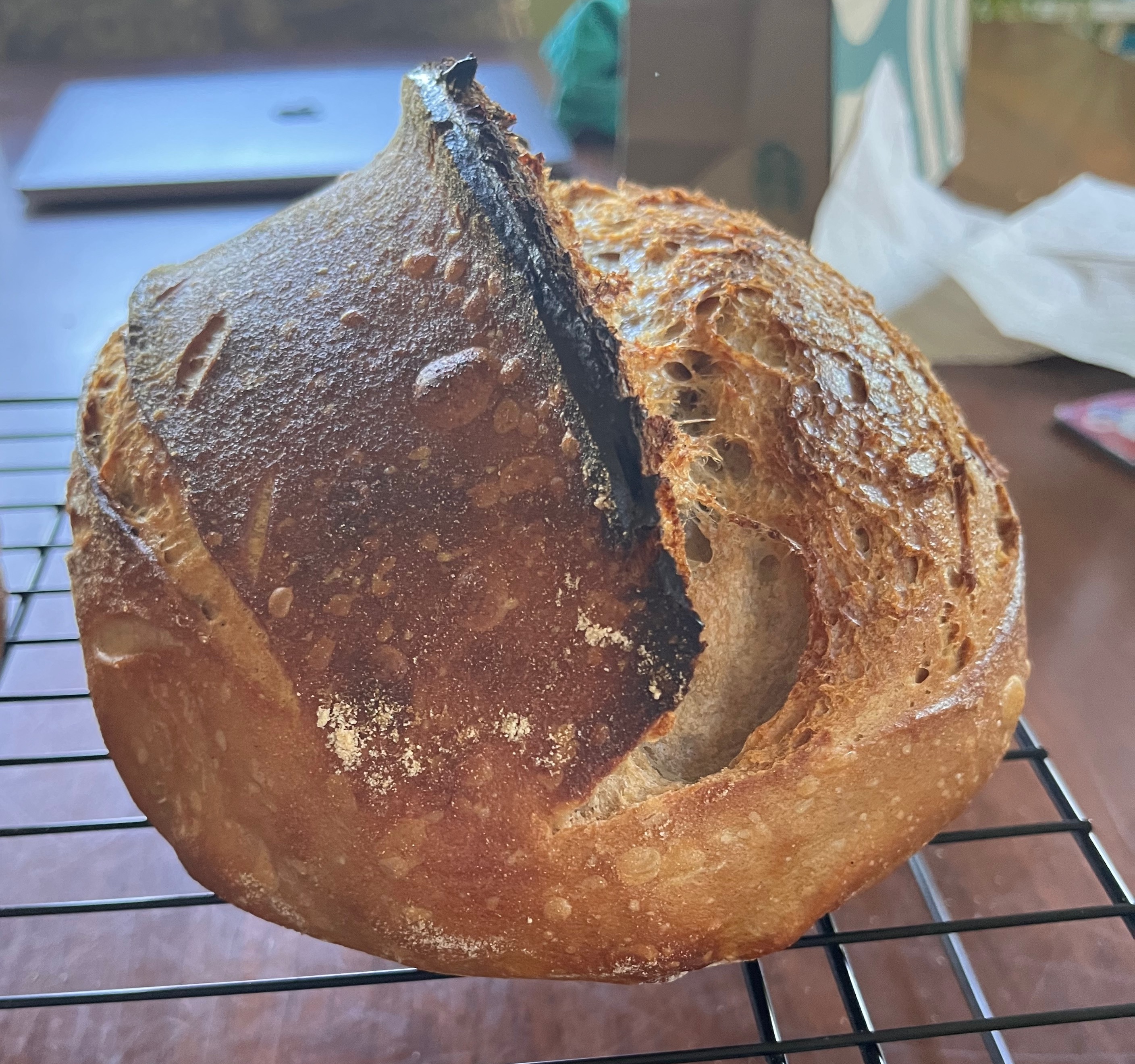 A loaf showing clear improvement